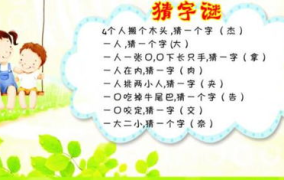 谜语和答案,趣味谜题与智慧解答集锦