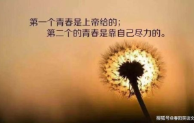 2021年最火句子,年度流行语背后的情感与思考